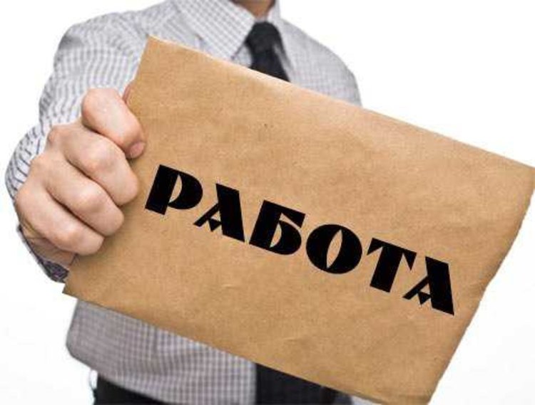 На борсата в Смолян към 6 октомври: търсят се от юристи до шивачи