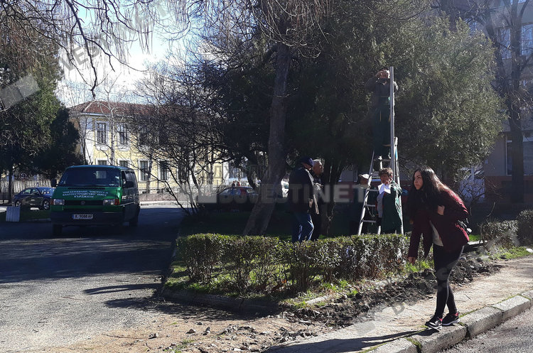 Трескава работа в Попската градина, слагат лампи за децата