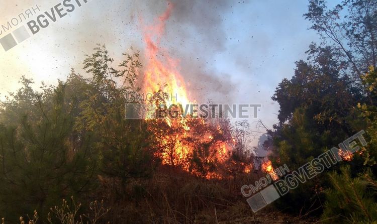 Полиция, огнеборци  и доброволци гасиха пожар от детска игра край Чепеларе