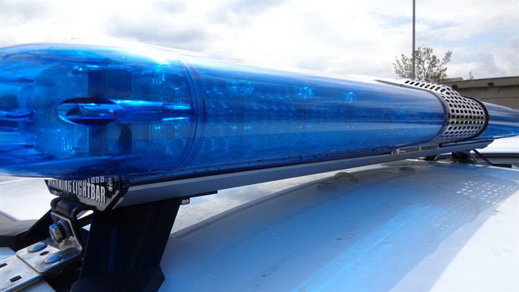 Проверка за незаконна сеч в Кирково