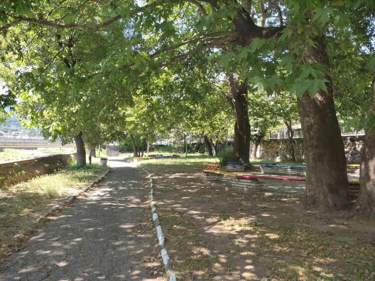 Площадката за кучета в Асеновград ще бъде изградена в "Кучешкия парк"