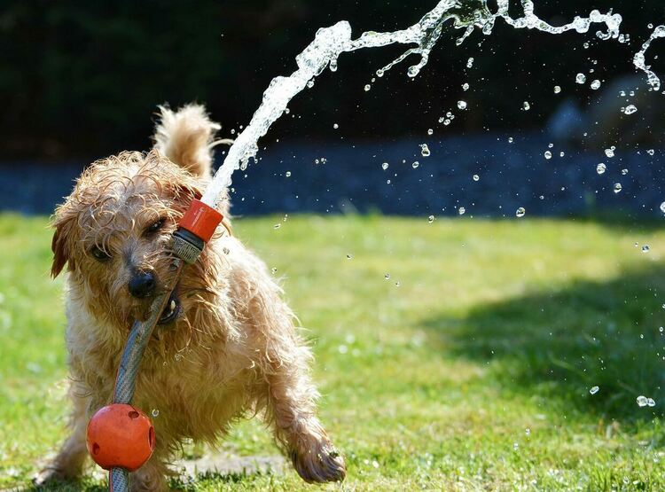 Май 2022 г. е бил петият най-топъл месец май в инструменталната история