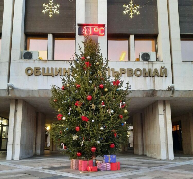 Коледната елха в Първомай ще засияе на 1 декември