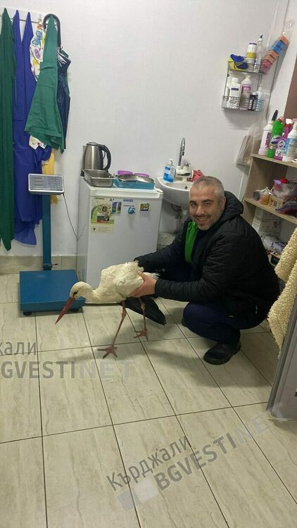 Среднощен,неочакван пациент се появи в клиника в Крумовград