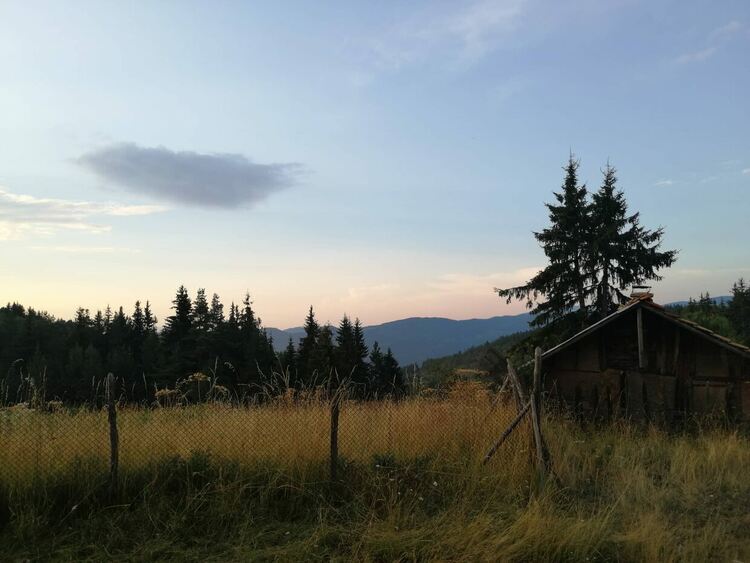 Пореден ден с много високи температури около 40 градуса