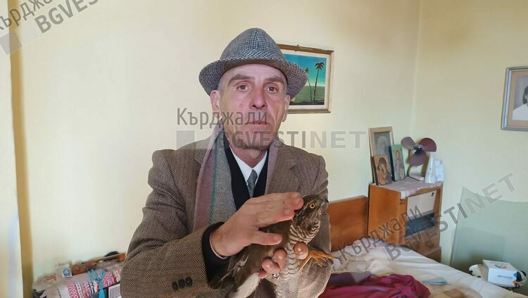 Почина простреляният в центъра на Кърджали ястреб, Полицията издирва убиеца