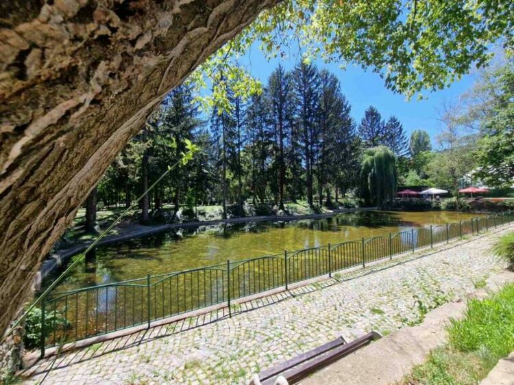 Робот дебютира в Градския парк на Перник, ще чисти езерото