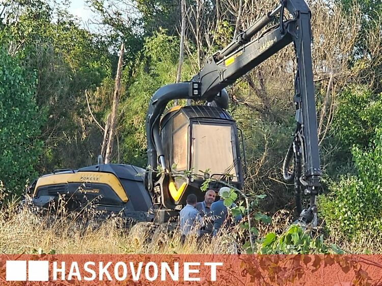 Пожарът край Рогозиново погълна между 50 и 100 дка сечище с дървен материал