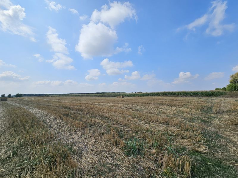 Продавам 24,860 дка земя в землището на с. Крислово