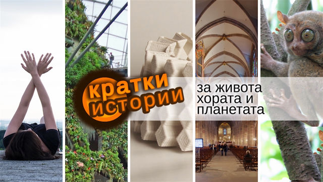 Кратки истории за живота, хората и планетата – Океан