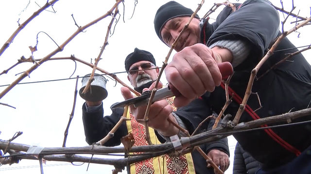 С конкурс за най-добро домашно вино в свиленградското село Димитровче отбелязоха в аванс Трифон Зарезан