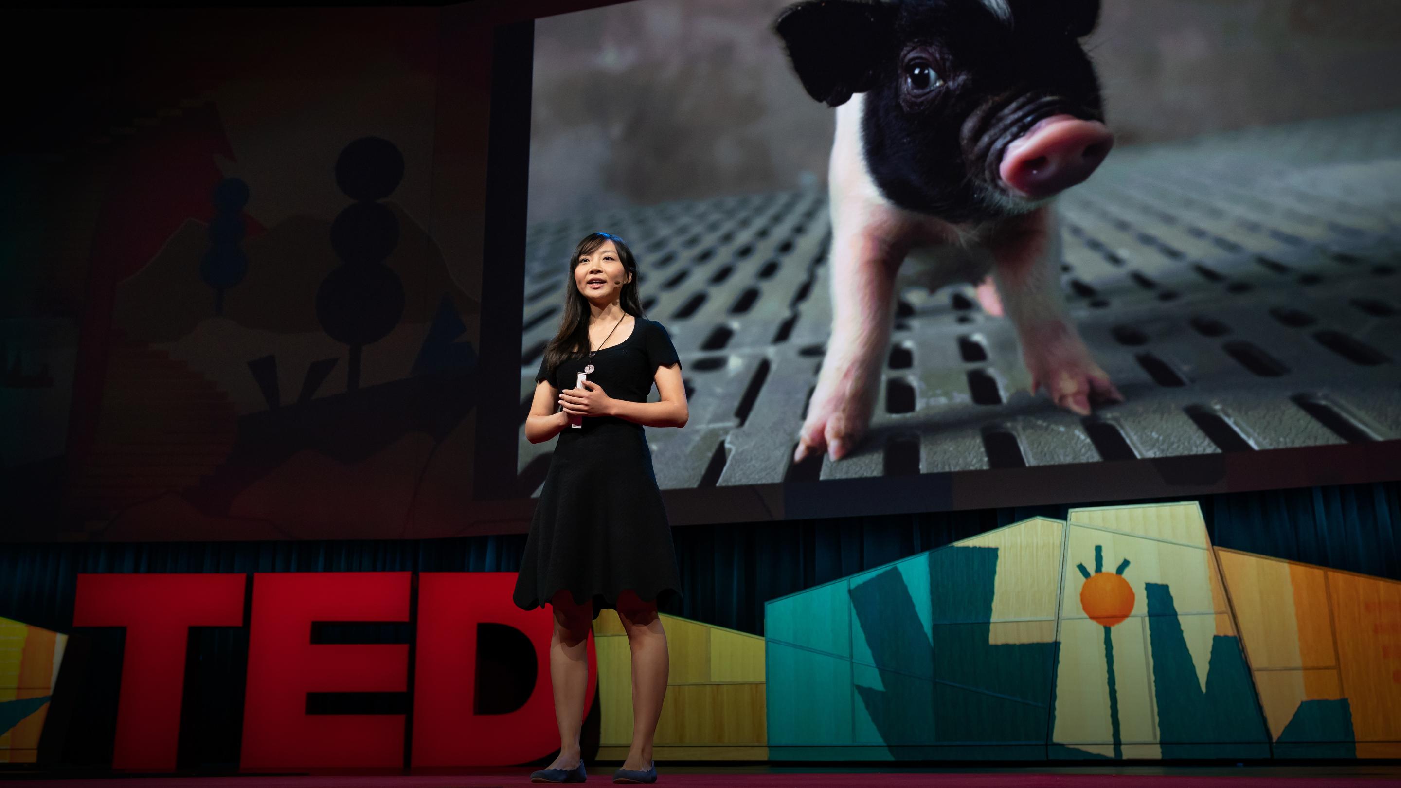 Как да създадем свят, в който никой не  умира, чакайки за трансплантация